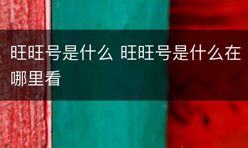 旺旺号是什么 旺旺号是什么在哪里看