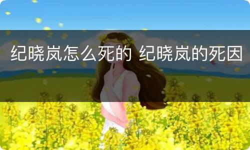 纪晓岚怎么死的 纪晓岚的死因