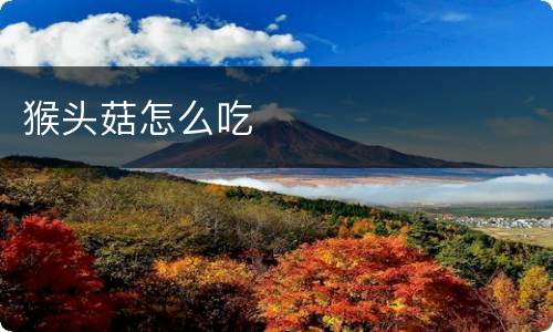 猴头菇怎么吃