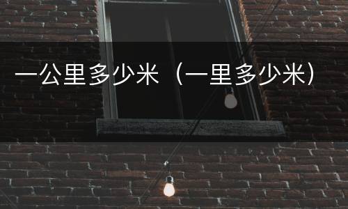 一公里多少米（一里多少米）