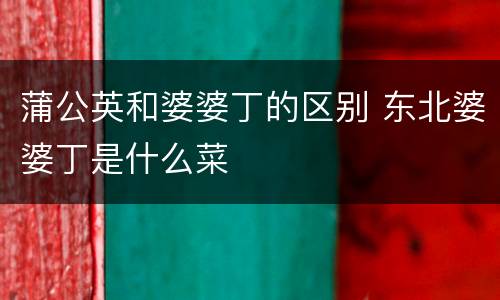 蒲公英和婆婆丁的区别 东北婆婆丁是什么菜