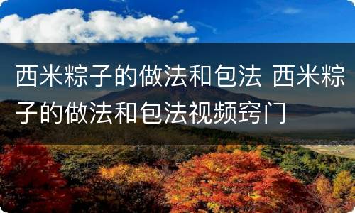 西米粽子的做法和包法 西米粽子的做法和包法视频窍门
