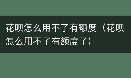 花呗怎么用不了有额度（花呗怎么用不了有额度了）