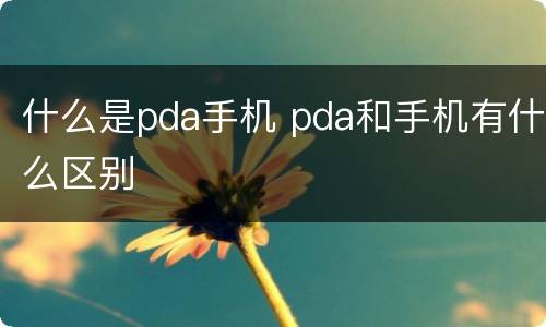 什么是pda手机 pda和手机有什么区别