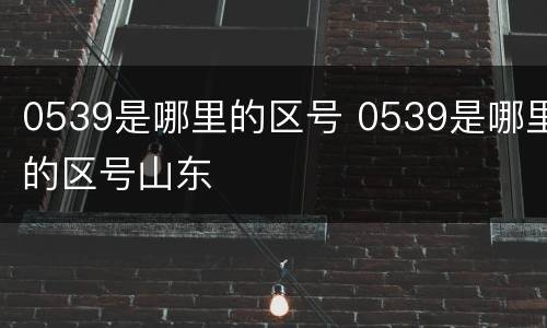 0539是哪里的区号 0539是哪里的区号山东