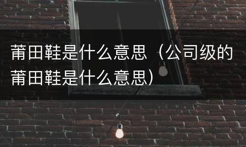 莆田鞋是什么意思（公司级的莆田鞋是什么意思）
