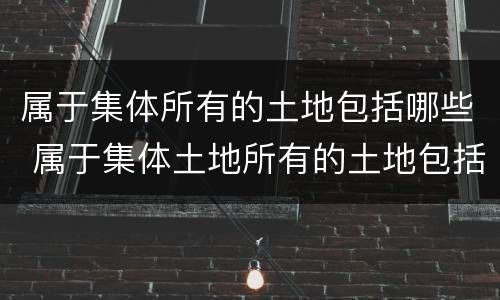 属于集体所有的土地包括哪些 属于集体土地所有的土地包括