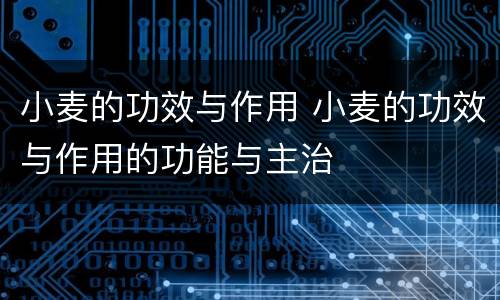 小麦的功效与作用 小麦的功效与作用的功能与主治