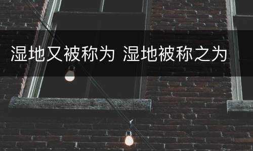 湿地又被称为 湿地被称之为