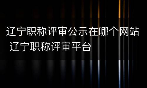 辽宁职称评审公示在哪个网站 辽宁职称评审平台