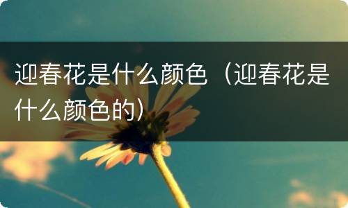 迎春花是什么颜色（迎春花是什么颜色的）