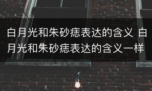 白月光和朱砂痣表达的含义 白月光和朱砂痣表达的含义一样吗