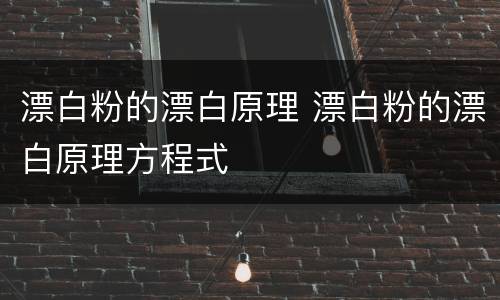 漂白粉的漂白原理 漂白粉的漂白原理方程式