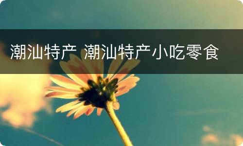 潮汕特产 潮汕特产小吃零食