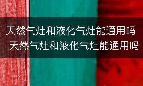 天然气灶和液化气灶能通用吗 天然气灶和液化气灶能通用吗有什么危险
