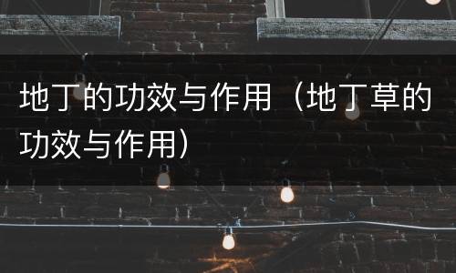 地丁的功效与作用（地丁草的功效与作用）