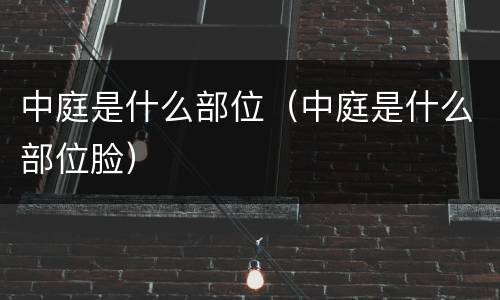 中庭是什么部位（中庭是什么部位脸）