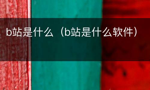 b站是什么（b站是什么软件）
