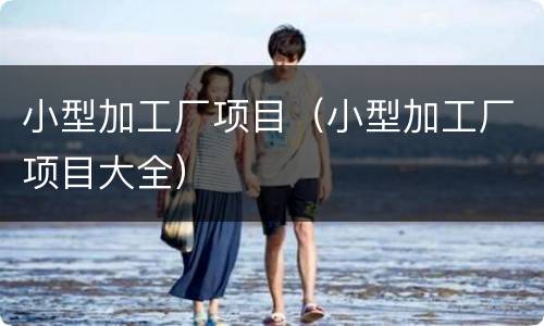 小型加工厂项目（小型加工厂项目大全）