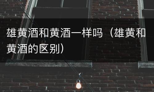 雄黄酒和黄酒一样吗（雄黄和黄酒的区别）
