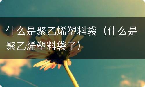 什么是聚乙烯塑料袋（什么是聚乙烯塑料袋子）