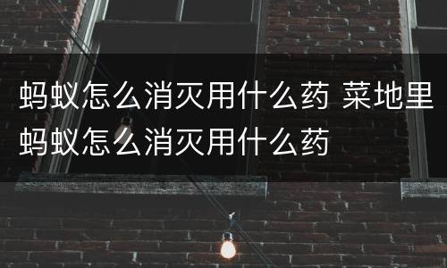 蚂蚁怎么消灭用什么药 菜地里蚂蚁怎么消灭用什么药