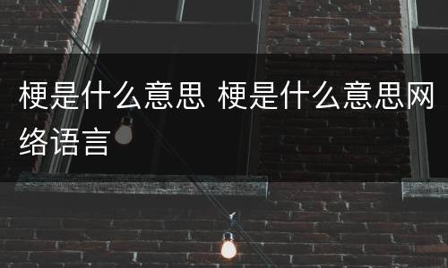 梗是什么意思 梗是什么意思网络语言