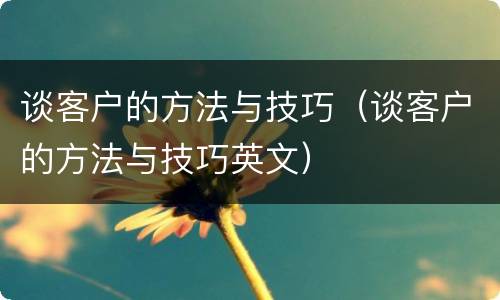 谈客户的方法与技巧（谈客户的方法与技巧英文）