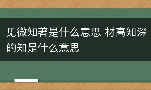 见微知著是什么意思 材高知深的知是什么意思