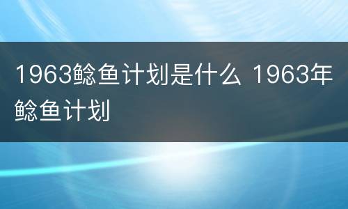 1963鲶鱼计划是什么 1963年 鲶鱼计划