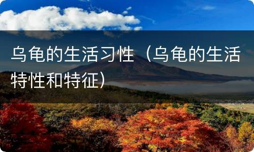 乌龟的生活习性（乌龟的生活特性和特征）