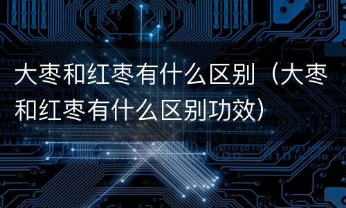 大枣和红枣有什么区别（大枣和红枣有什么区别功效）