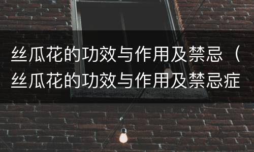 丝瓜花的功效与作用及禁忌（丝瓜花的功效与作用及禁忌症）