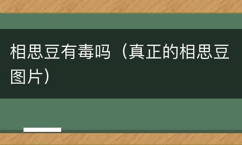 相思豆有毒吗（真正的相思豆图片）