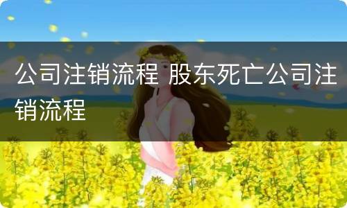 公司注销流程 股东死亡公司注销流程