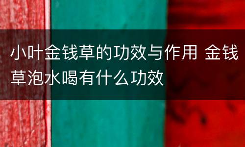 小叶金钱草的功效与作用 金钱草泡水喝有什么功效