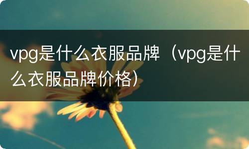 vpg是什么衣服品牌（vpg是什么衣服品牌价格）