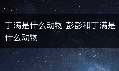 丁满是什么动物 彭彭和丁满是什么动物