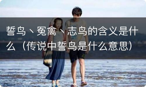 誓鸟丶冤禽丶志鸟的含义是什么（传说中誓鸟是什么意思）