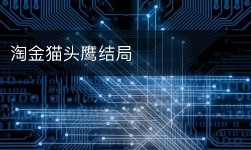 淘金猫头鹰结局