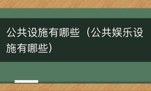 公共设施有哪些（公共娱乐设施有哪些）