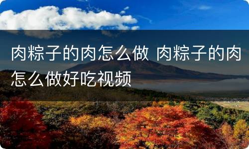 肉粽子的肉怎么做 肉粽子的肉怎么做好吃视频