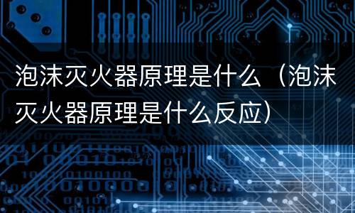 泡沫灭火器原理是什么（泡沫灭火器原理是什么反应）