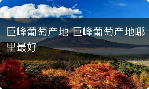巨峰葡萄产地 巨峰葡萄产地哪里最好