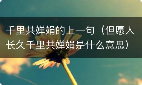 千里共婵娟的上一句（但愿人长久千里共婵娟是什么意思）