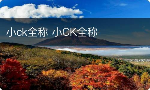 小ck全称 小CK全称