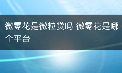 微零花是微粒贷吗 微零花是哪个平台