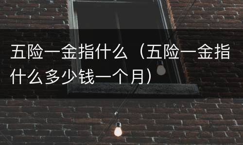五险一金指什么（五险一金指什么多少钱一个月）