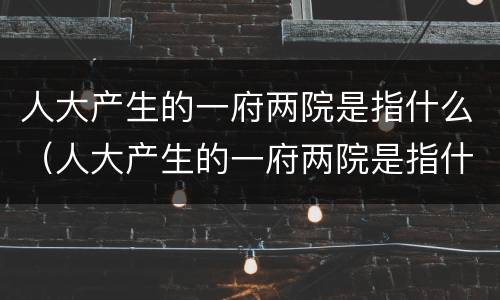 人大产生的一府两院是指什么（人大产生的一府两院是指什么什么）