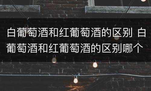 白葡萄酒和红葡萄酒的区别 白葡萄酒和红葡萄酒的区别哪个好